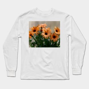 Pale orange flowers Long Sleeve T-Shirt